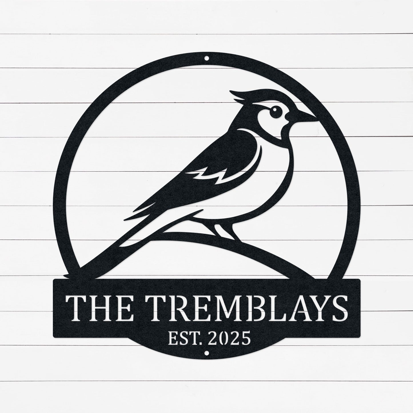 Personalized Family Name Sign | Last Name Sign | Family Established Sign | Blue Jay Sign | Blue Jays Decor | Blue Jays Merch | Wedding Gift | Year 6 Anniversary Gift | Metal Sign | Wall Art | Made In Canada | Canadian Made