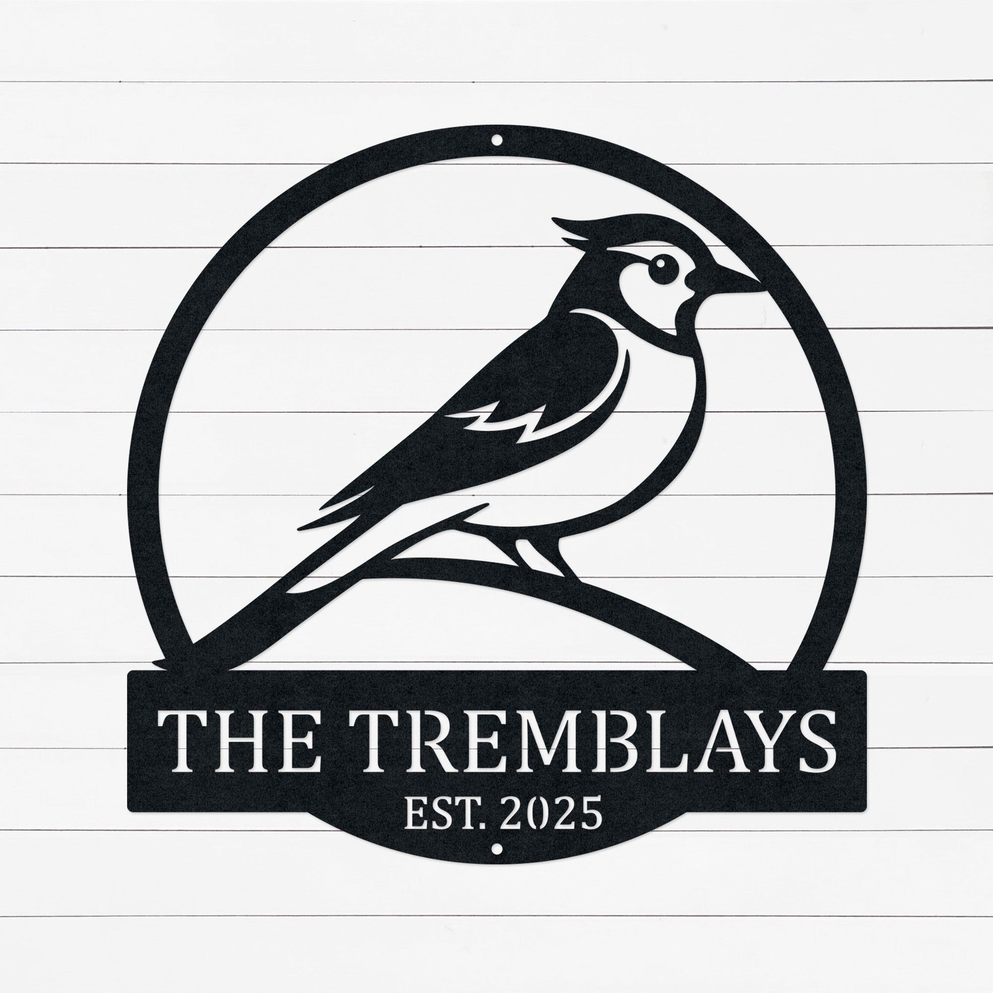 Personalized Family Name Sign | Last Name Sign | Family Established Sign | Blue Jay Sign | Blue Jays Decor | Blue Jays Merch | Wedding Gift | Year 6 Anniversary Gift | Metal Sign | Wall Art | Made In Canada | Canadian Made